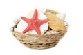 Basket of sea shells isolated on white background Royalty Free Stock Photo