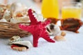 Basket with sea shells Royalty Free Stock Photo