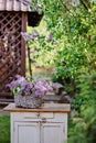 Basket of spring lilacs on vintage bureau in spring garden Royalty Free Stock Photo