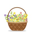 Basket of spring or summer flowers. Colorful woven floral basket. Flat, cartoon, isolated