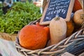 Basket of Squash