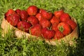 Basket with straberry Royalty Free Stock Photo