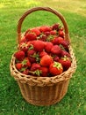 Basket with strawberries