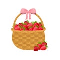 Basket with strawberries. Summer illustration of strawberries with a basket. Sweet strawberries. Ripe red berry. Vector Royalty Free Stock Photo