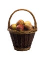 Basket of summer apples Royalty Free Stock Photo