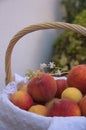 Summer fruit basket with a natural background Royalty Free Stock Photo