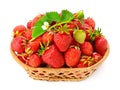 Basket with sweet strawberries isolated on white background Royalty Free Stock Photo