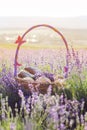 Basket with sweet-stuff in purple lavender flowers