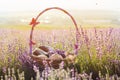 Basket with sweet-stuff in purple lavender flowers