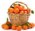 Basket with tangerines