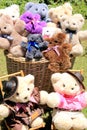 Basket with Teddies Royalty Free Stock Photo