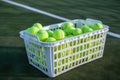 Basket of tennis balls on green court Royalty Free Stock Photo