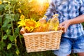 Basket with three bottles of sunflower oil in hands of girl Royalty Free Stock Photo