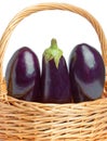 Basket and three ripe eggplant Royalty Free Stock Photo