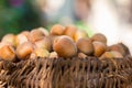 A basket of toasted hazelnuts