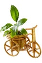 Basket - Tricycle (clipping path) Royalty Free Stock Photo