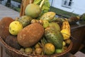 Basket with tropical fruits common in Brazil