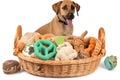 a basket with a variety of pet toys and treats for a playful pup Royalty Free Stock Photo