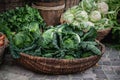 Basket with various cabbages Savoy , romanesco, cauliflower, white head , broccoli, brussels sprouts, Chinese Royalty Free Stock Photo