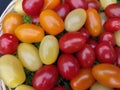 A basket of various coloured tomatoes