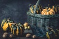 Basket with various small pumpkins with a striped pattern