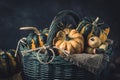 Basket with various small pumpkins with a striped pattern