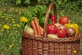 Basket of various vegetables in the sunlight on a meadow
