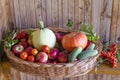 basket with vegetables and fruits on a wooden background. harvesting autumn and summer harvest. pumpkin, zucchini, apple Royalty Free Stock Photo