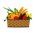 Basket with vegetables. Vector illustration for agricultural and farming fairs.