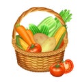 Basket with vegetables on white. Vector illustration.