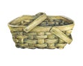 Basket wattled from wood. Royalty Free Stock Photo