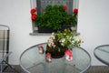 A basket with white chrysanthemums, yellow marigolds stands on the table against the backdrop of a flower box with geraniums. Royalty Free Stock Photo