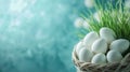 Basket of White Eggs with Fresh Green Grass on Light Blue Background. Concept of Easter Celebration, Springtime Royalty Free Stock Photo