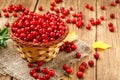 Basket with wild autumn forest berry - lingonberry Royalty Free Stock Photo