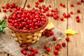 Basket with wild autumn forest berry - lingonberry
