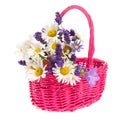 Basket wild flowers