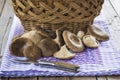 Basket with wild oyster mushrooms