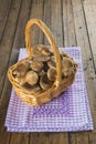 Basket with wild oyster mushrooms