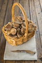 Basket with wild oyster mushrooms