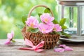 Basket with wild rose flowers and vintage lamp Royalty Free Stock Photo