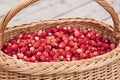 Basket with wild strawberries Royalty Free Stock Photo