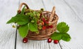 Basket with wild strawberries Royalty Free Stock Photo