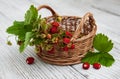 Basket with wild strawberries Royalty Free Stock Photo