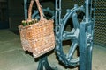 Basket with wine bottles in Codorniu winery.