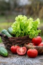 Basket and wooden plate with fresh vegetables (tomatoes, cucumber, chili pepers, dill and lettuce) on wooden background. Royalty Free Stock Photo