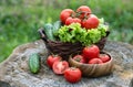 Basket and wooden plate with fresh vegetables (tomatoes, cucumber, chili pepers, dill and lettuce) on wooden background. Royalty Free Stock Photo