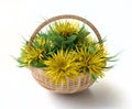 Basket with Yellow Asters
