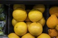 A basket of yellow grapefruits in between oranges and apples in the market in Atlanta Georgia Royalty Free Stock Photo