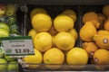 A basket of yellow grapefruits in between oranges and apples in the market in Atlanta Georgia Royalty Free Stock Photo