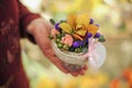 Basket with yellow orchid flowers. Royalty Free Stock Photo